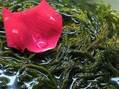 -川锅一号火锅(睢宁店)