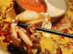美蛙锅-哥老官重庆美蛙鱼头(五角场合生汇店)
