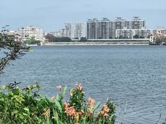 -东莞植物园