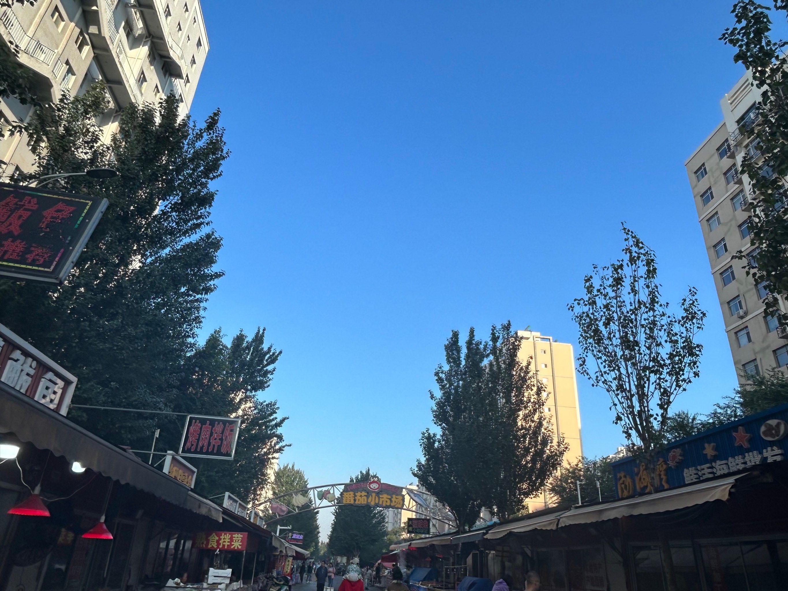 鲅鱼圈网红市场