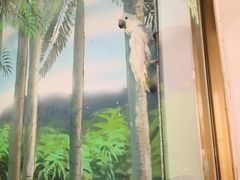 -石家庄市动物园