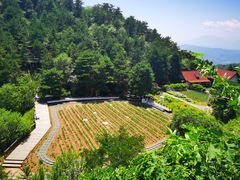 -云峰山自然风景区