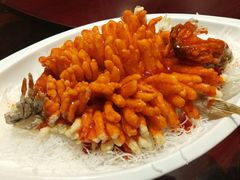 松鼠桂鱼-简朴寨(湘隆时代店)