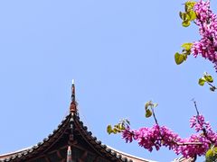 -成都杜甫草堂博物馆
