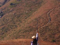 -凤凰山