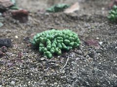 -上海植物园-4号门售票处