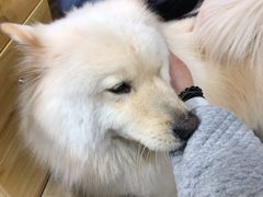 -肆兮眼镜·蔡司·徕卡战略合作店(大坪店)