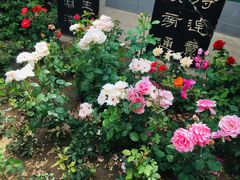 -碑林公园