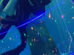 -北戴河圣蓝海洋公园