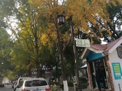 -鑫花溪牛肉米粉(凤凰街创始总店)