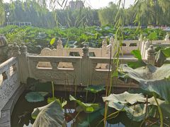 -丰台花园