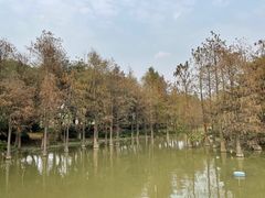 -海珠湖公园