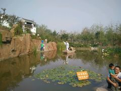 -武清南湖绿博园