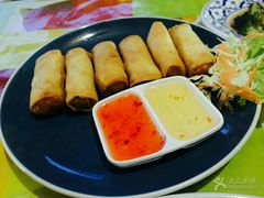 -Jungle Kitchen