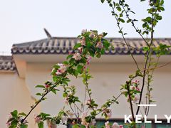 -新川办餐厅