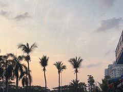 -小海豚·老字号海鲜餐厅(三亚湾店)