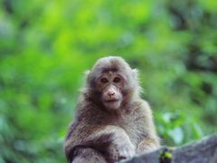 -西岭雪山大飞水景区