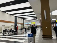 -谢列梅捷沃国际机场