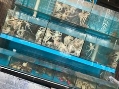 -东海章鱼馆(恒瑞街店)