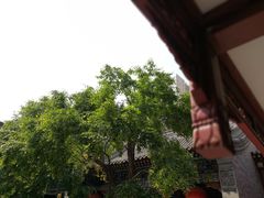 -罔极寺
