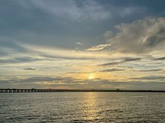 -宝安西湾红树林湿地公园