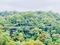 -福道