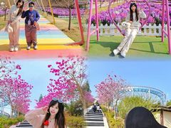 -盈香心动乐园