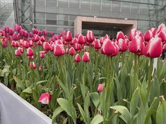 -南山植物园