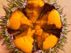 -海胆小馆(东北水饺·春柳店)