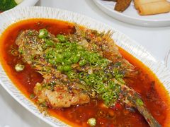 -有腥气私房菜·寻味顺德