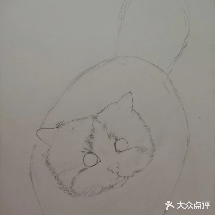 我的毛孩子[亲亲]