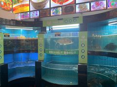 -千岛湖小鱼儿·淳安匠心农家菜