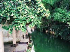 -乌镇景区