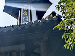 -上海佘山国家森林公园天马山园