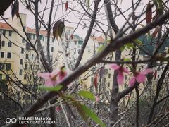 -小南山公园