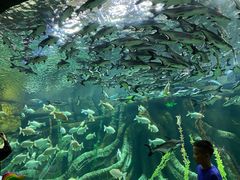 -波塞冬旅游度假区