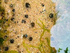 -青岛第三海水浴场