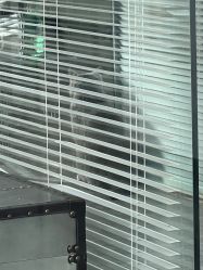 -飛凡TATTOO纹身•原创