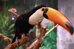 -Zoolung Zoolung动物主题公园(海信广场店)