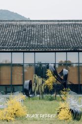 -浙江1+1主持人工作室