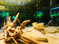 -酷嗒动物文化乐园(cutezoo西溪乐天城店)