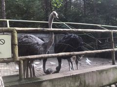 -燕塞湖鸟语林景区