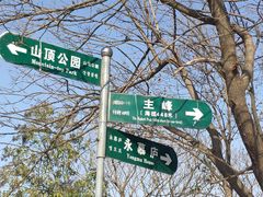 -紫金山山顶公园