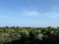 -三亚海棠湾万丽度假酒店