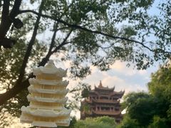 -黄鹤楼公园(黄鹤楼)