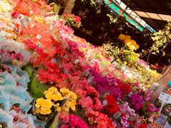 -曲阳花鸟市场(曲阳路店)