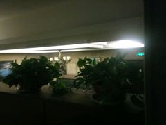 -天幕新彩云国际影城(激光巨幕店)