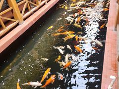 -侠成水上农庄(工业大道店)
