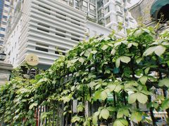 -巴厘龙虾·榜首油焖大虾(洞庭·艺术洋房店)