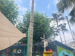 -重庆海昌加勒比海水世界